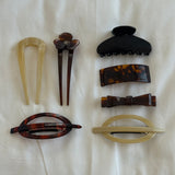 Diana Barrette in Tortoise