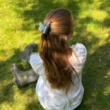 Papillon Clip in Bleu