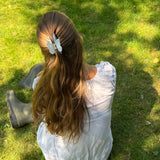 Papillon Clip in Bleu