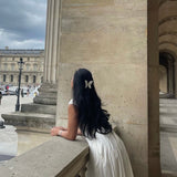 Papillon in Cloudy