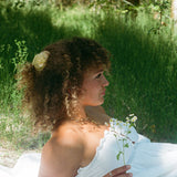Rose in Limone